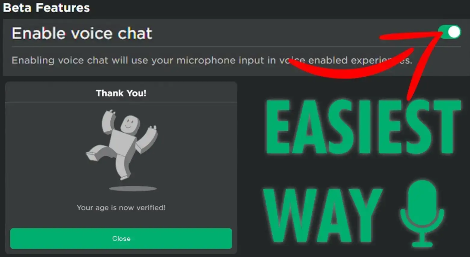 how to get voice chat on roblox